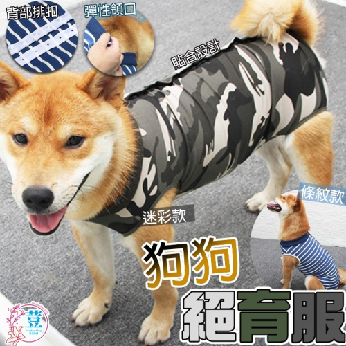 【透氣彈性/舒適貼身】?狗狗絕育衣 防舔衣 結紮衣服 貓咪術後衣服 寵物防舔衣 防舔絕育服 防舔 狗狗衣服