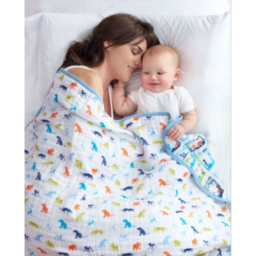 aden+anais 經典四層紗厚毯 112*112cm