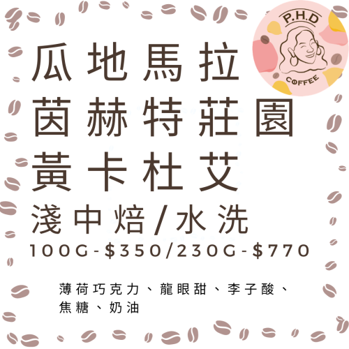 [P.H.D Coffee] 瓜地馬拉 茵赫特莊園 卡杜艾 水洗
