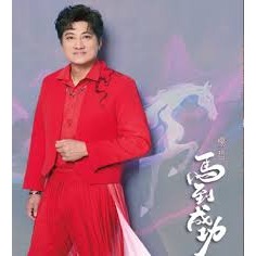 楊哲－－－- 馬到成功**全新** CD